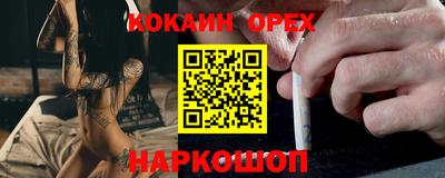 амф Гатчина
