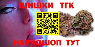 амф Гатчина