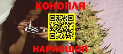 гидра Гай