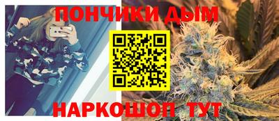 гидра Гай