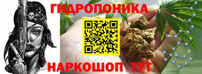 соль ск Гагарин
