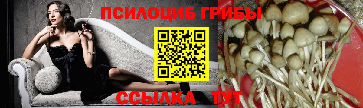 Кинешма  Псилоцибиновые грибы Magic Shrooms  закладки  Вход с VPN 