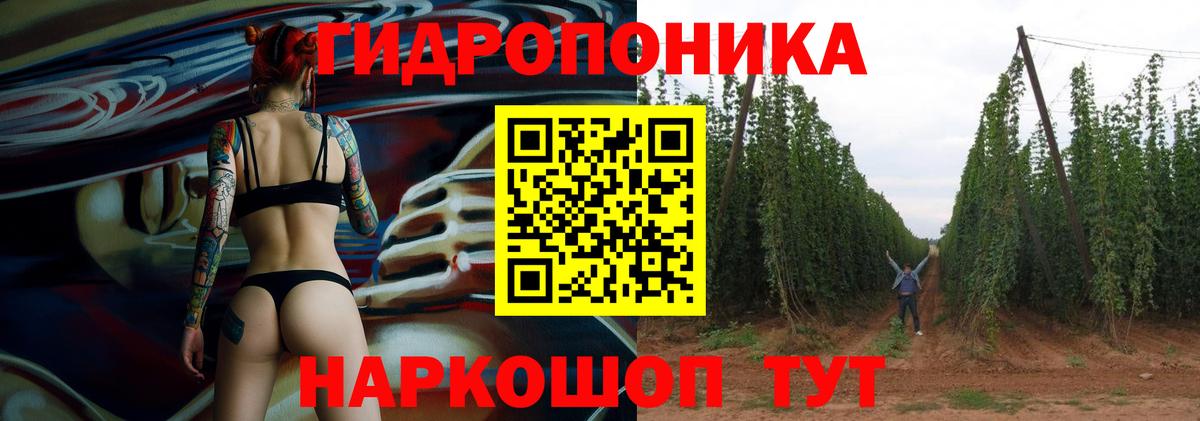 Шишки марихуана план  Конопля Bruce Banner  Кинешма  МАРИХУАНА MAZAR  Вход с VPN 